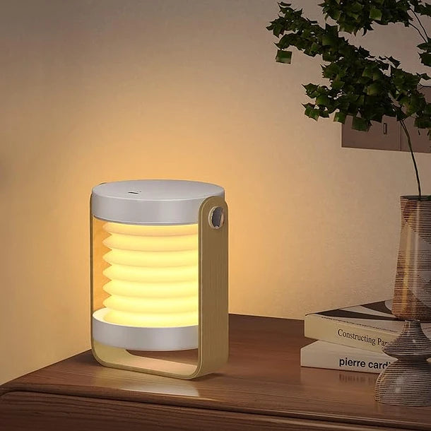LumiEco Lámpara LED Recargable